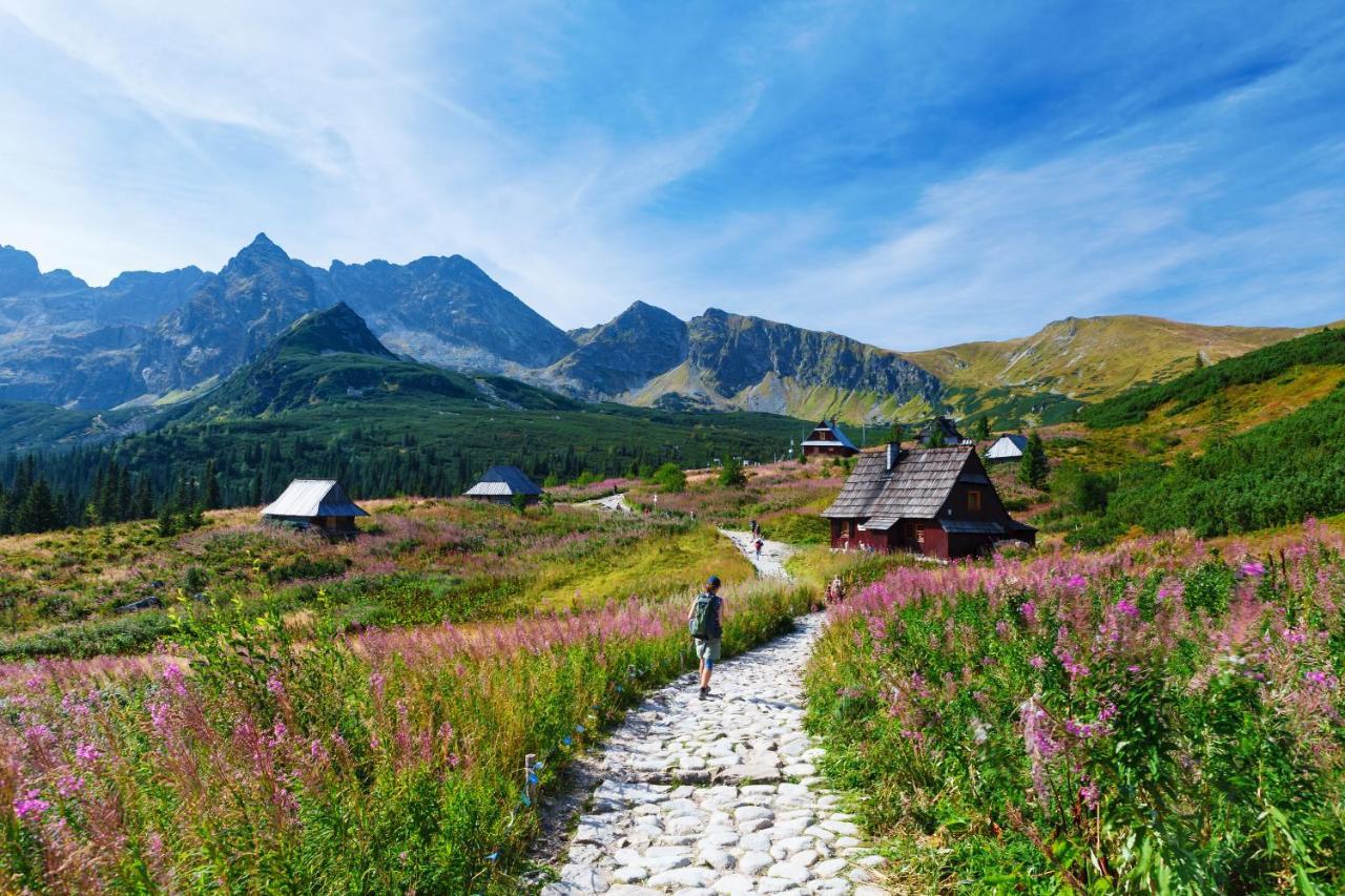 Zakopane - Apartament Chomikowka 外观 照片