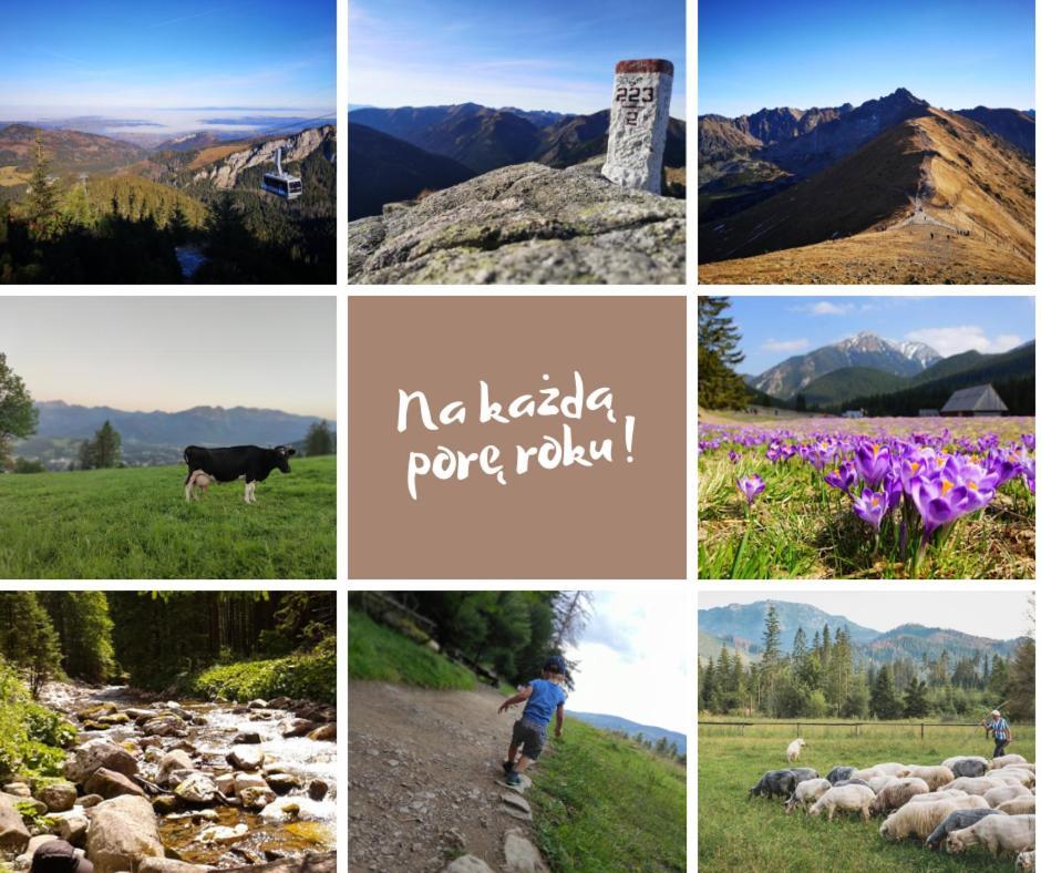 Zakopane - Apartament Chomikowka 外观 照片