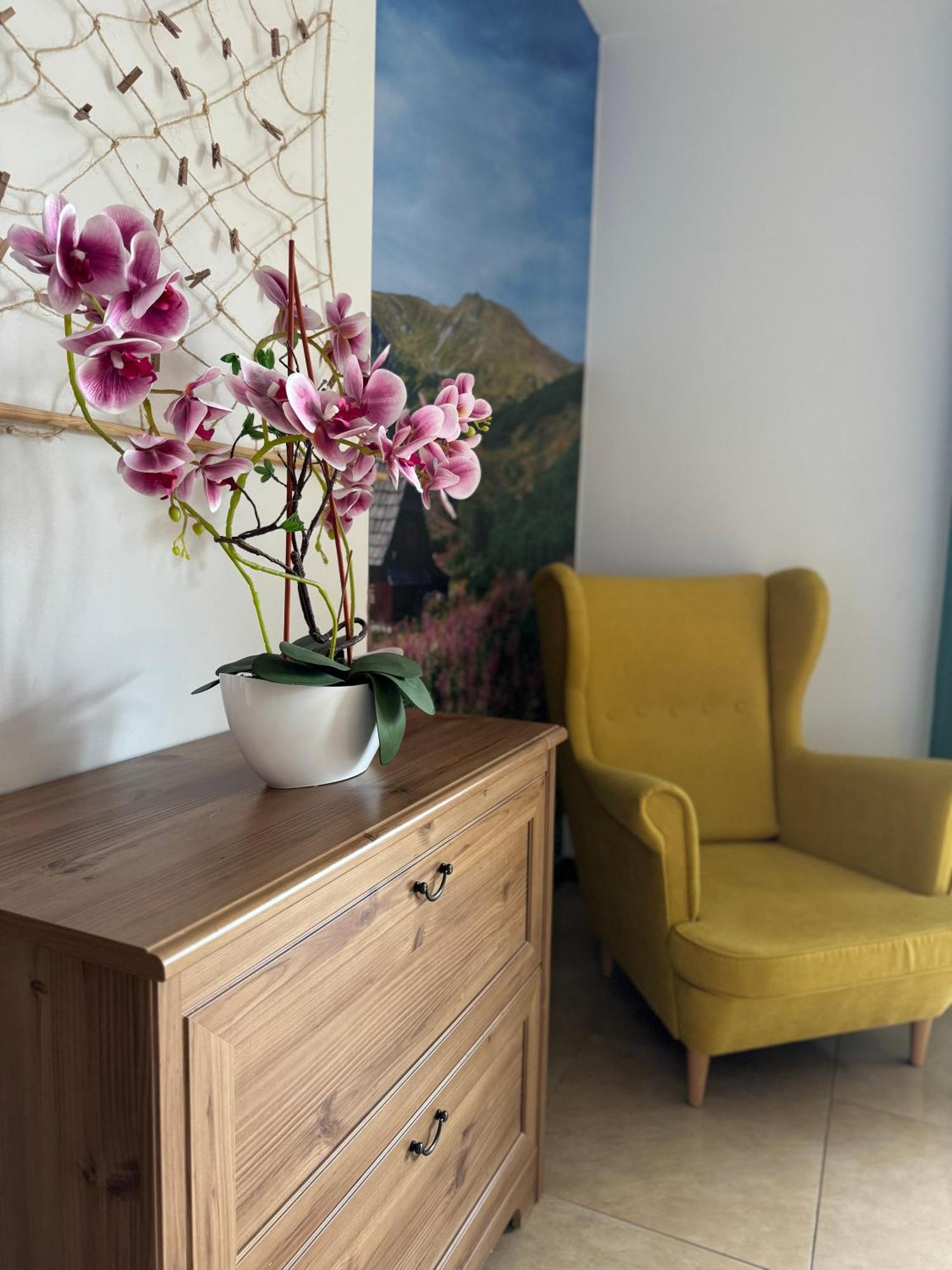 Zakopane - Apartament Chomikowka 外观 照片